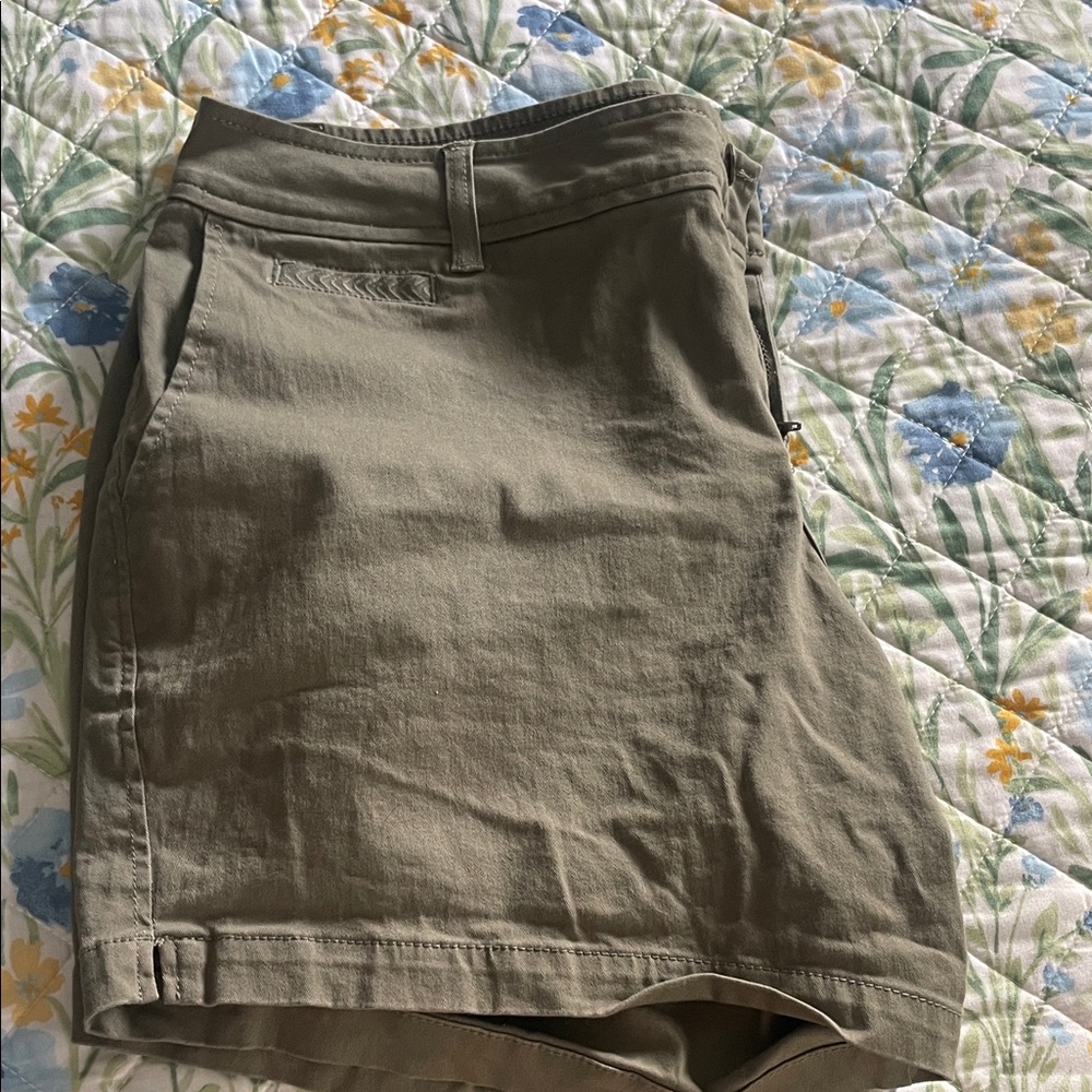 Market & Spruce Olive Green Women Shorts
